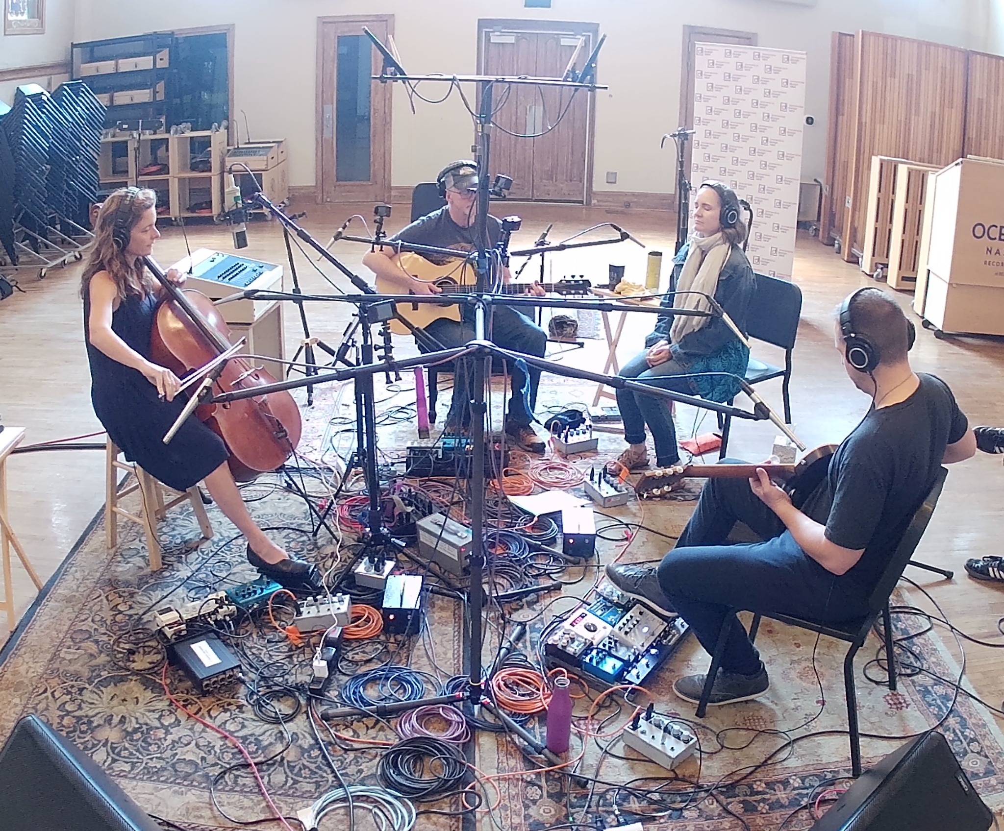 7.0.4 Immersive Recording Array (Includes eleven (11) IDL-3203 microphones)